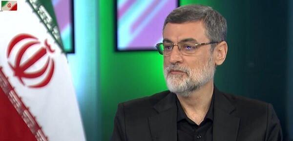 عکس همسر امیرحسین قاضی زاده هاشمی