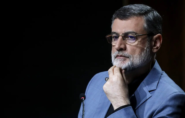عکس همسر امیرحسین قاضی زاده هاشمی