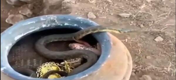 عکس غار پر از طلا