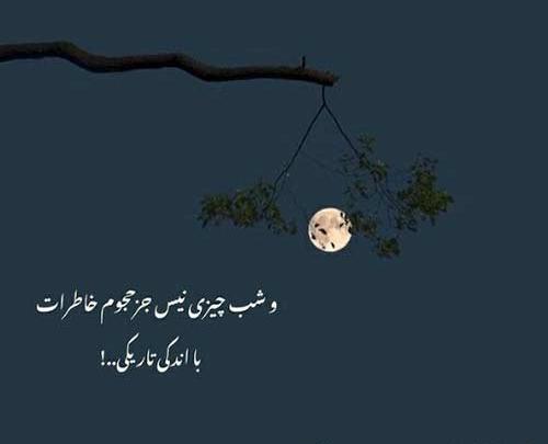 عکس طلا خواننده اهنگ بی احساس