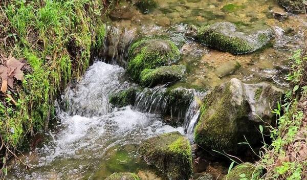 عکس چشمه طلا