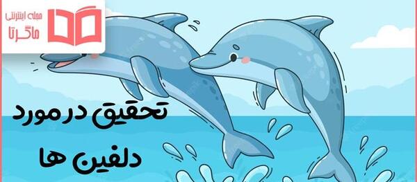 عکس بچه دلفین صورتی