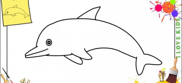 عکس دلفین بچه گانه