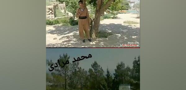 عکس محمد مرادی خواننده لری