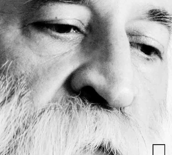عکس محمد جواد لطفی