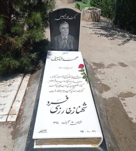 عکس محمد شاه حسینی