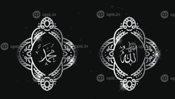 عکس محمد زیبایی