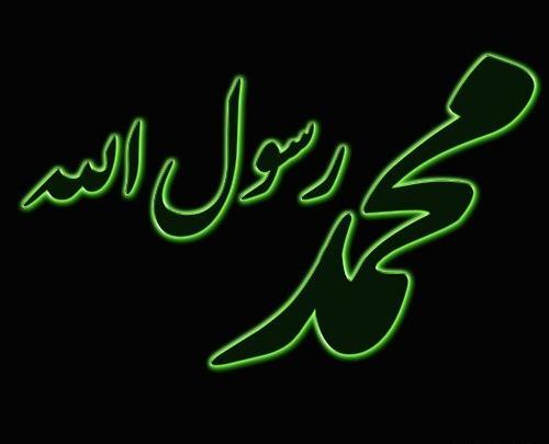 عکس محمد زیبایی
