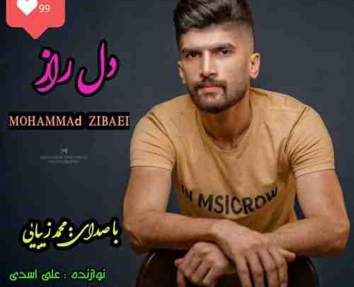 عکس محمد زیبایی