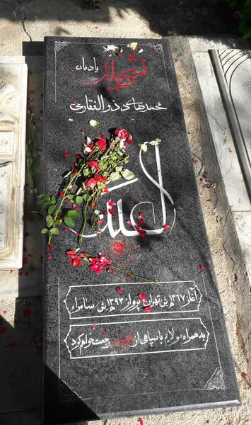 عکس شهید محمد ذوالفقاری