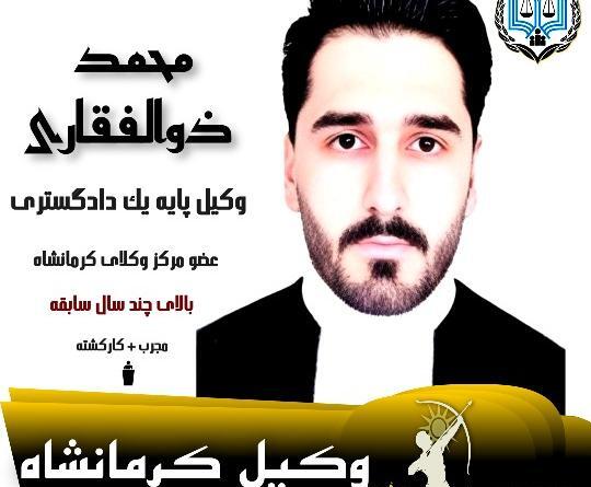 عکس دکتر محمد مهدی ذوالفقاری