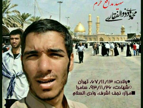 عکس دکتر محمد مهدی ذوالفقاری