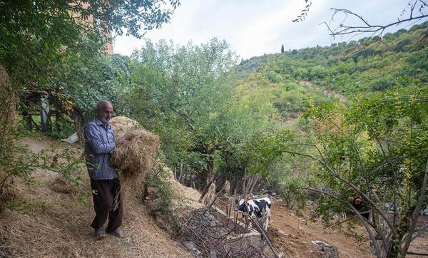 عکس روستای محمد آباد بهشهر