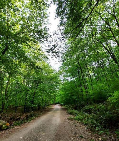عکس روستای محمد آباد بهشهر