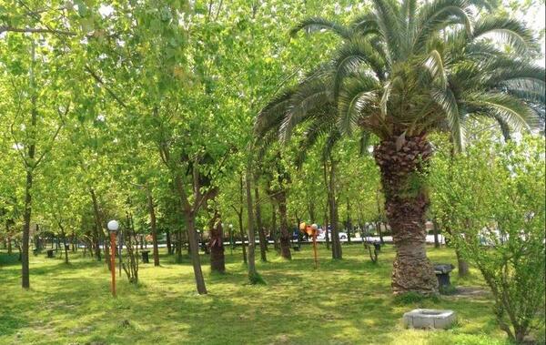 عکس بچه های محمدآباد