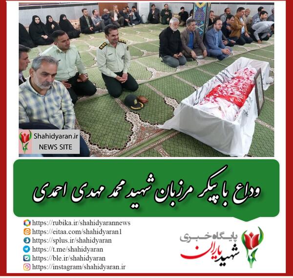 عکس محمد مهدی احمدی