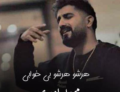 عکس یادگاری محمد امیری ریمیکس