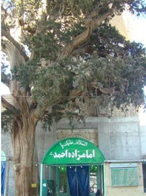 عکس ابراهیم مجاب