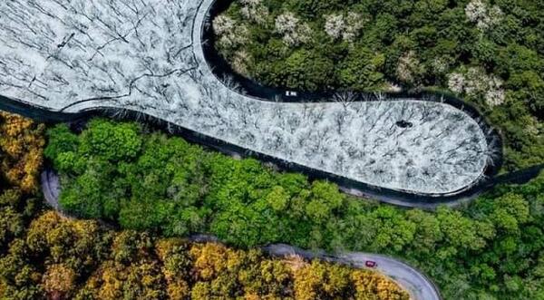 استناد به عکس هوایی در دادگاه
