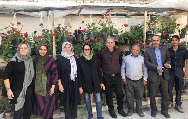 عکس هوایی لارگان