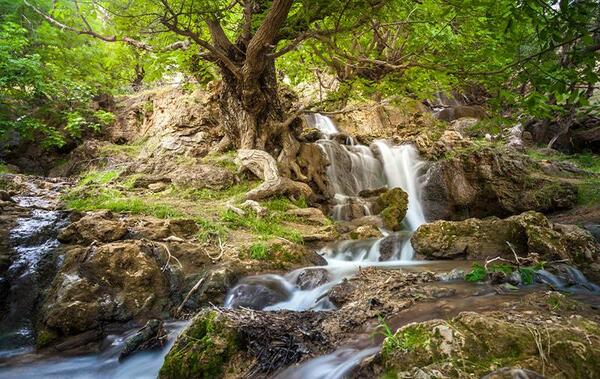 عکس هوایی از گلپایگان