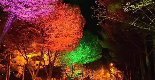 عکس هوایی قمصر
