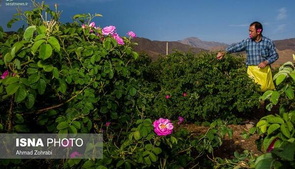 عکس هوایی قمصر