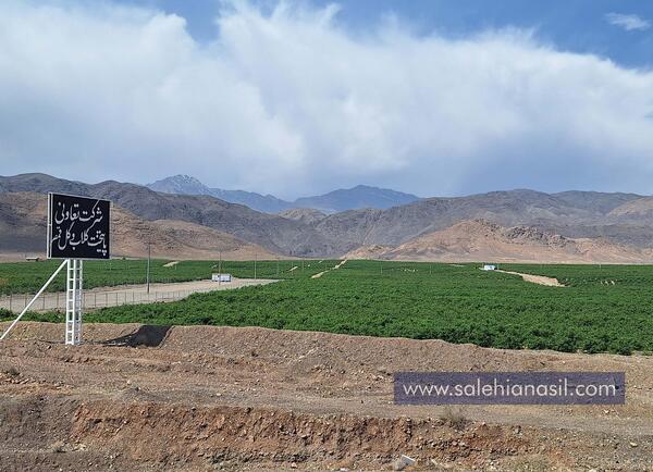 عکس هوایی قمصر