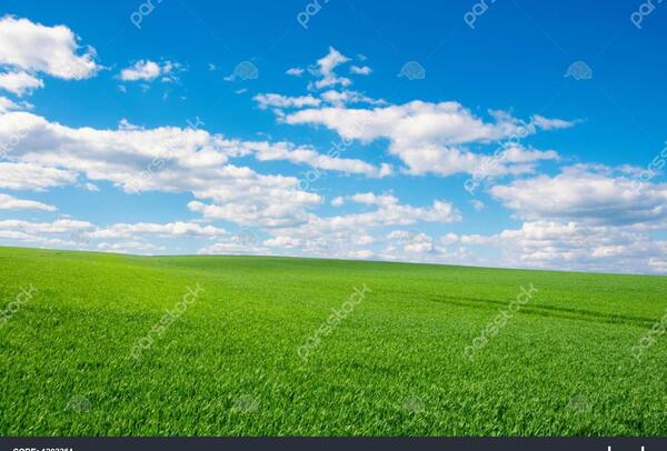 عکس هوایی زمین چمن