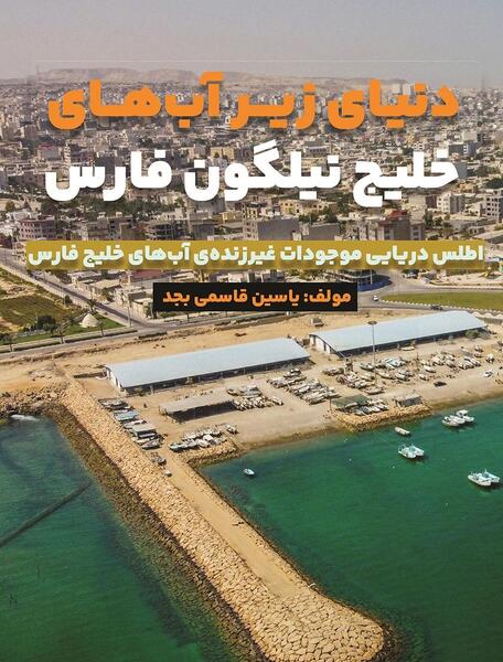 عکس هوایی از خلیج فارس