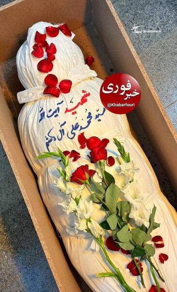 عکس شهدا سانحه هوایی