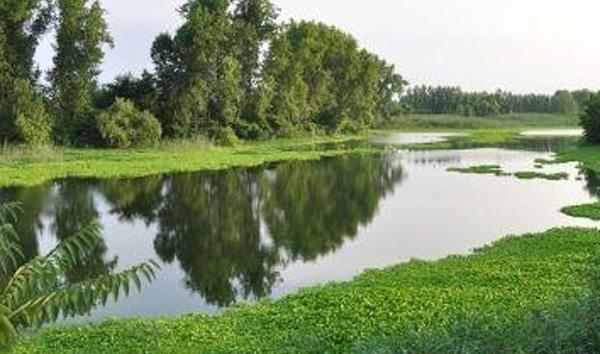 عکس هوایی تالاب عینک رشت