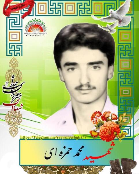 عکس شهید محمد حسین حمزه