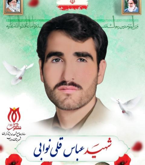عکس شهید حسین عامری