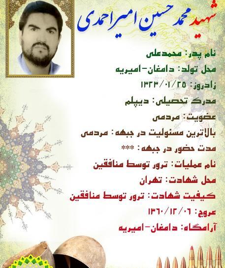 عکس شهید محمد حسین احمدی