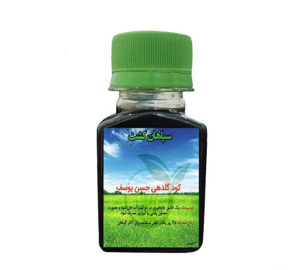 عکس گلدهی حسن یوسف