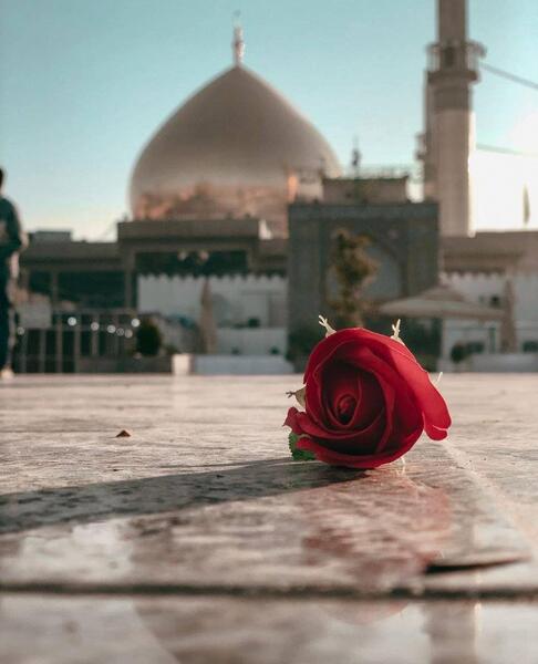 عکس پروفایل ولادت امام حسن عسکری