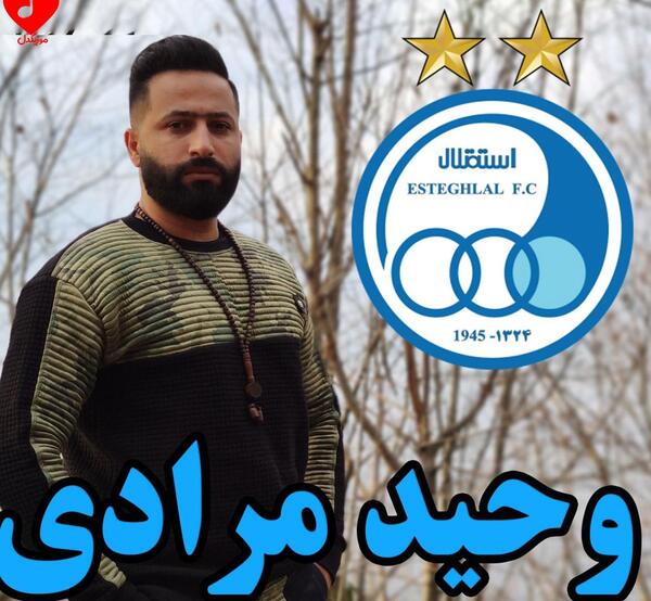 عکس دکتر حسن مرادیان لطفی