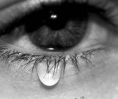 عکس خواننده حسن سالار