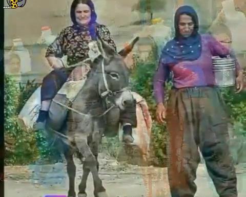 عکس های حسن درزی