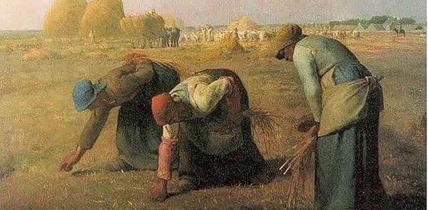 عکس حسن خوشه چین