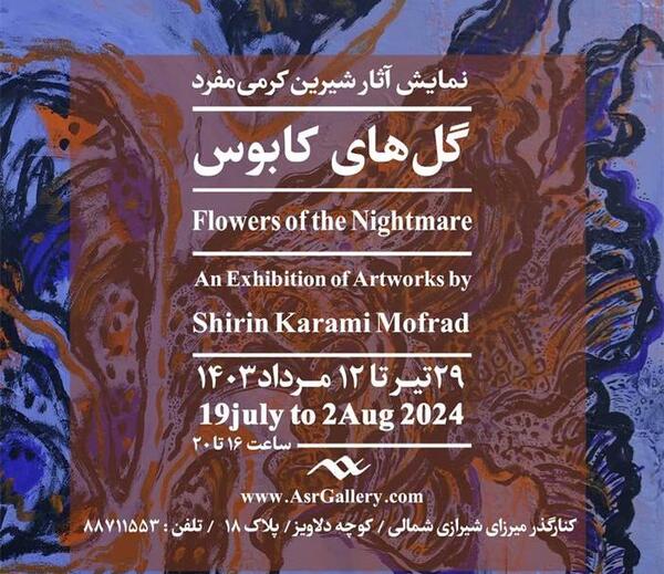 گالری عکس دکتر محسن نوری شیرازی