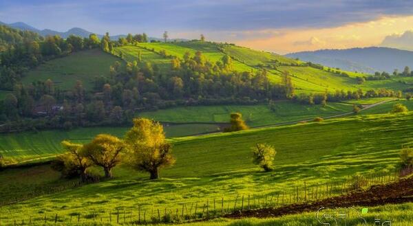 عکس محسن کشاورزی