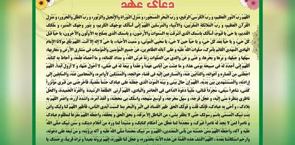 عکس استاد محسن فرهمند