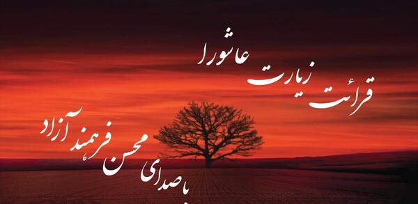 عکس استاد محسن فرهمند