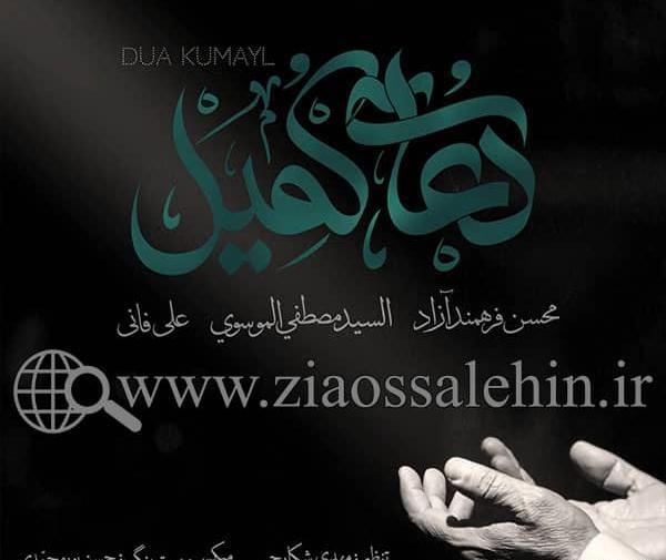 عکس استاد محسن فرهمند