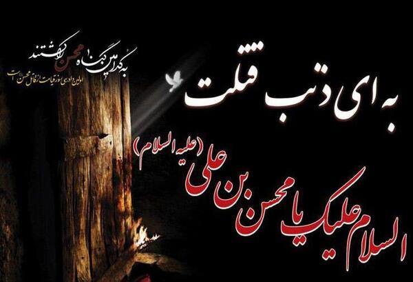 عکس عاشقانه محسن و فاطمه