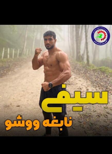عکس محسن محمد سیفی ووشو