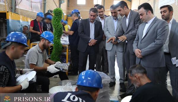 عکس محسن شمس زارع