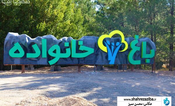 عکس همسر محسن باغی